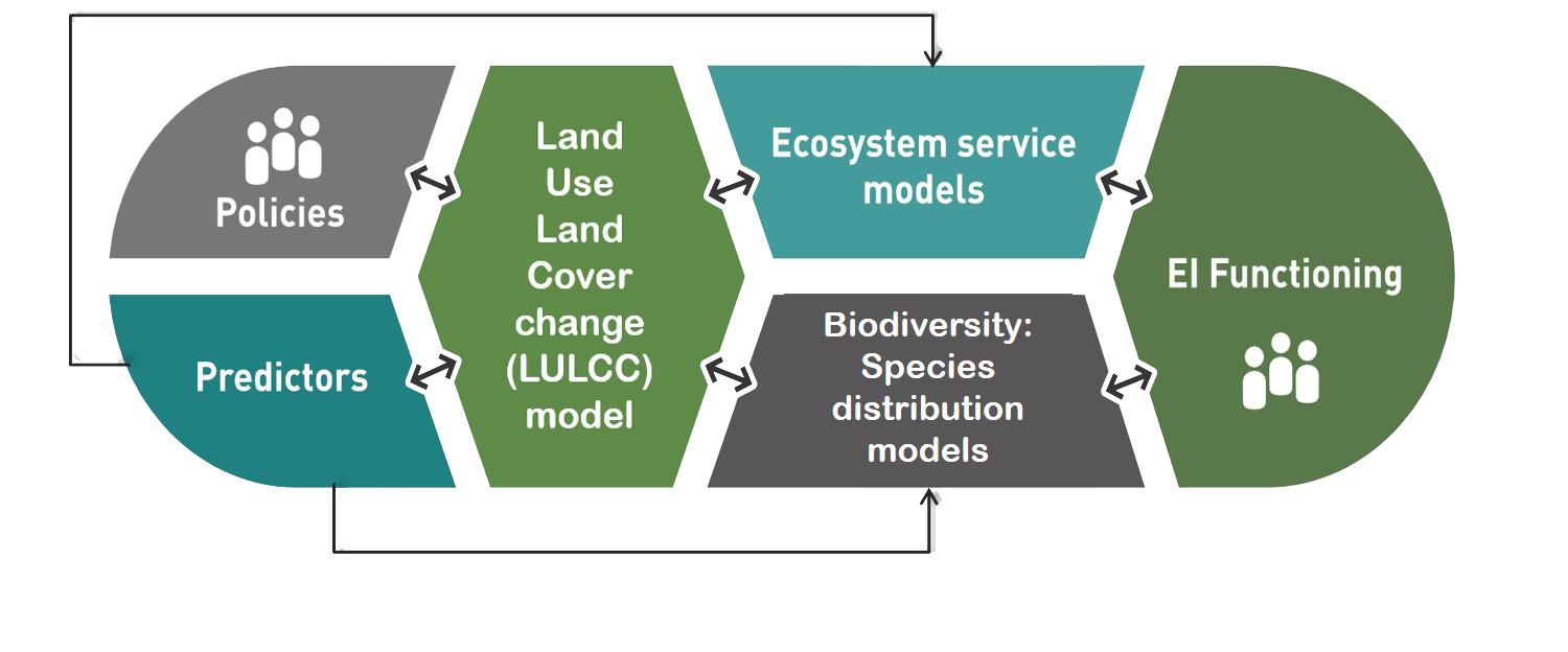 Model integration workflow