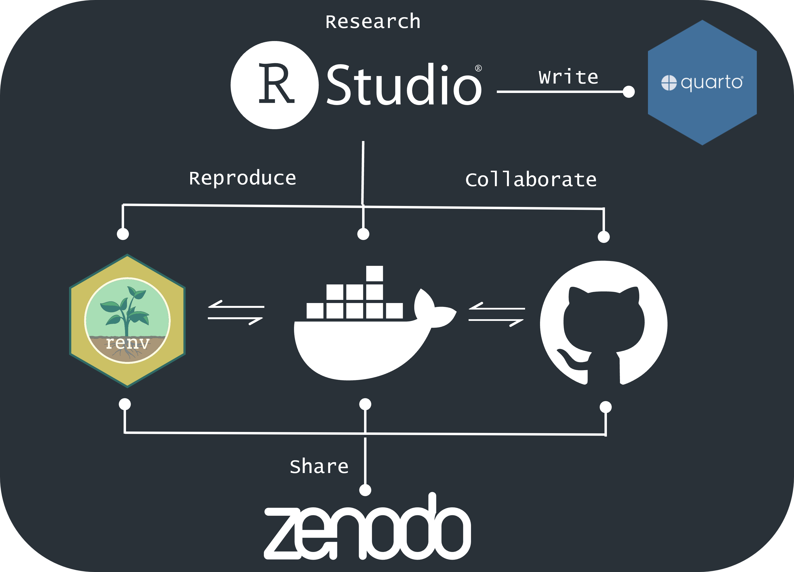 Graphical abstract for reproducible research workshop