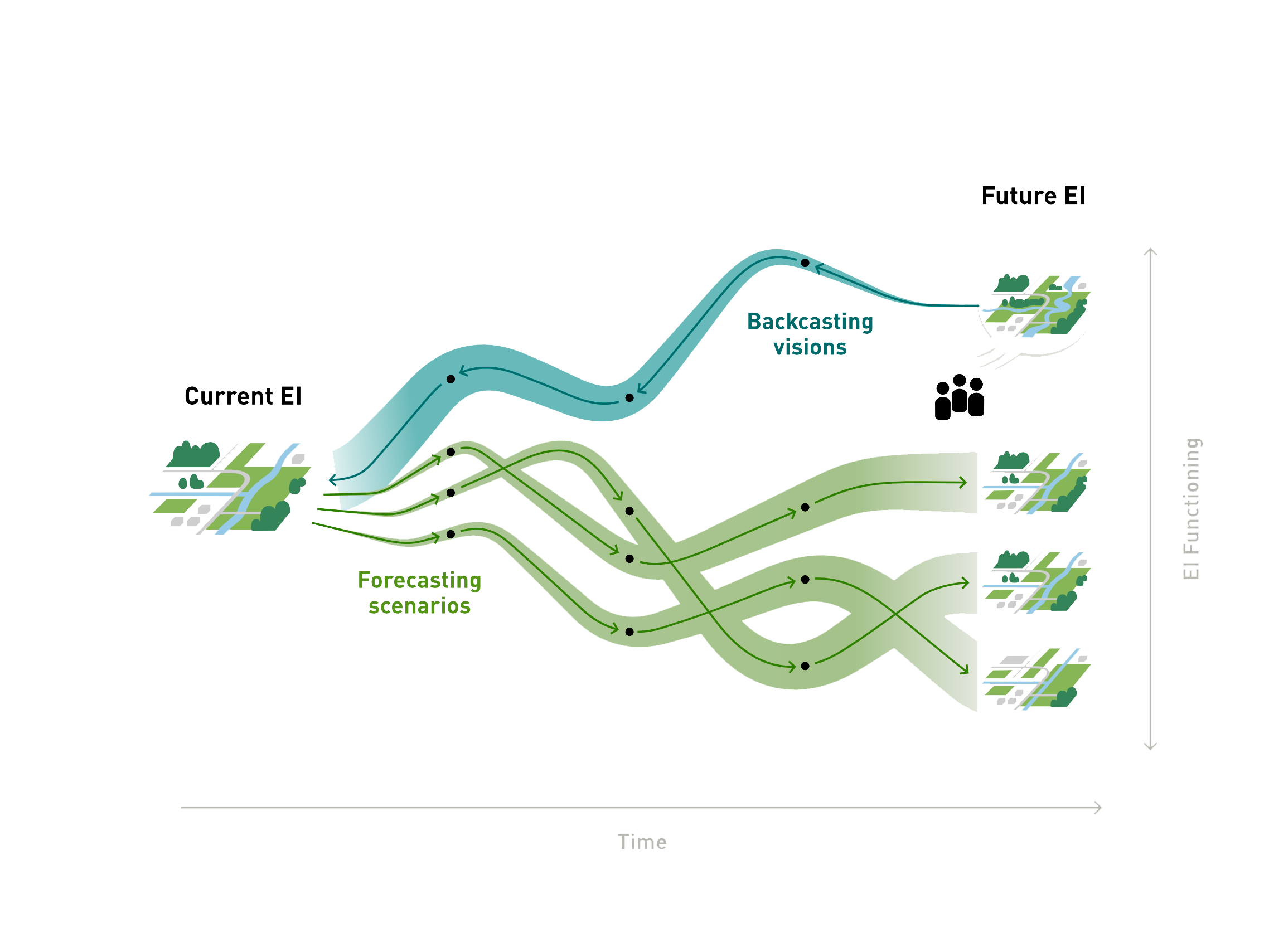 Pathways for Ecological Infrastructure development